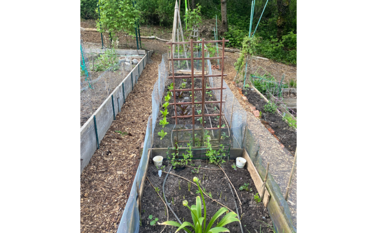 Richard and Gretchen